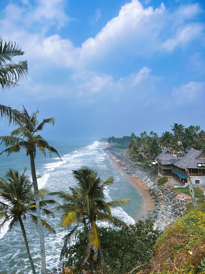 Beautiful coastal landscape with palm trees overlooking sandy beach and ocean waves.