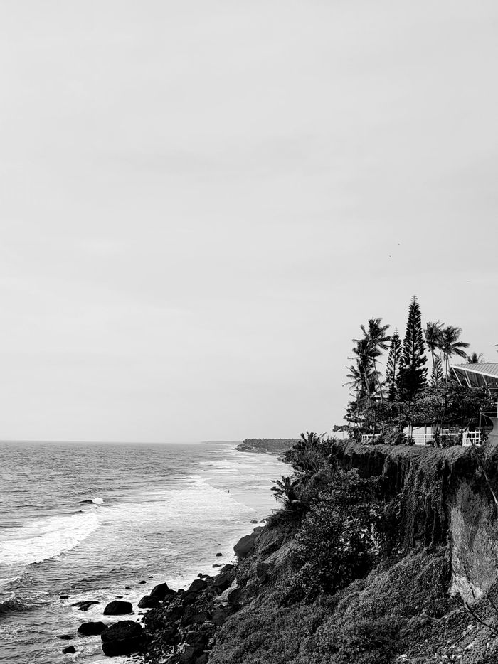 Pexels Photo 35588034